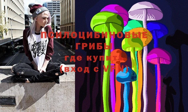 бошки Абдулино